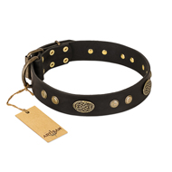 "Perfect Tracery" FDT Artisan Black Leather Pitbull Collar with Old Bronze Look Plates and Circles "Perfect Tracery" FDT Artisan Black Leather Pitbull Collar with Old Bronze Look Plates and Circles