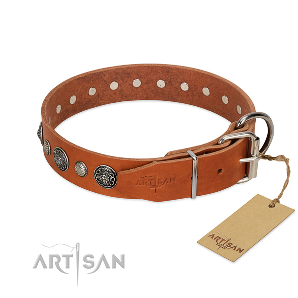 Quality full grain leather dog collar with rust-proof fittings