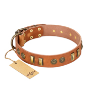 "Natural Beauty" FDT Artisan Tan Leather Pitbull Collar with Old Bronze-like Circles and Plates "Natural Beauty" FDT Artisan Tan Leather Pitbull Collar with Old Bronze-like Circles and Plates