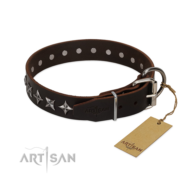 Daily walking embellished dog collar of high quality full grain genuine leather
