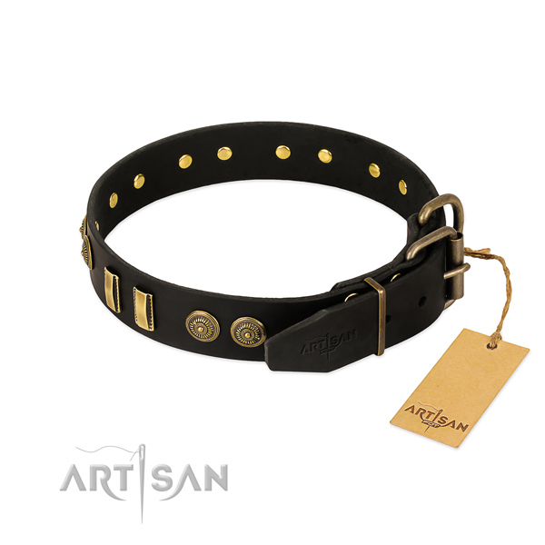 Rust resistant embellishments on leather dog collar for your pet