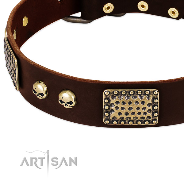 Corrosion resistant embellishments on full grain genuine leather dog collar for your doggie