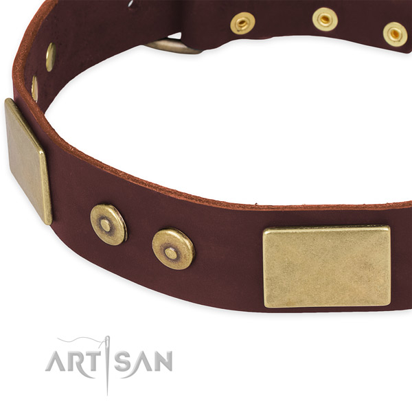 Leather dog collar with studs for daily walking