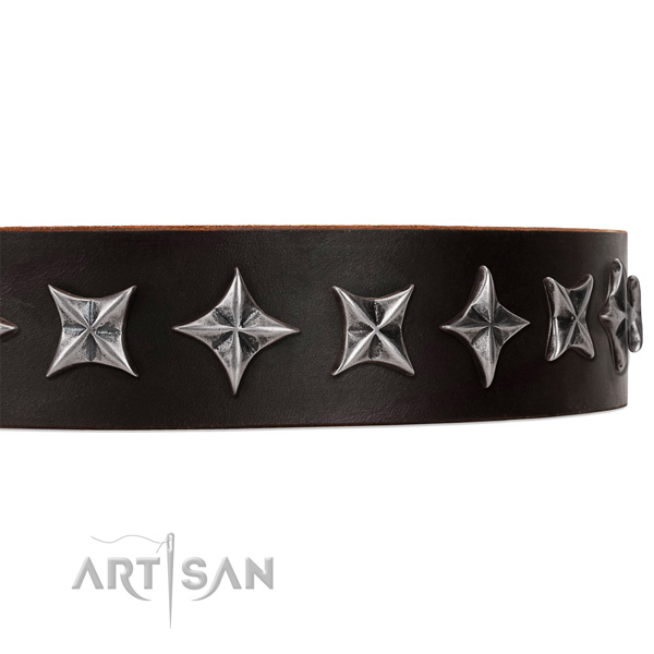 Everyday walking studded dog collar of quality leather