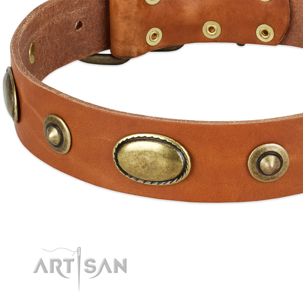Rust resistant fittings on full grain natural leather dog collar for your doggie