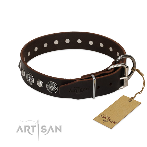 Top notch leather dog collar with designer embellishments