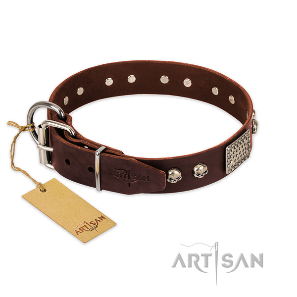 Corrosion resistant adornments on walking dog collar