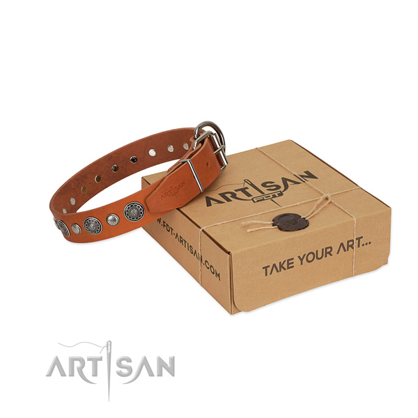 High quality full grain natural leather dog collar with awesome adornments