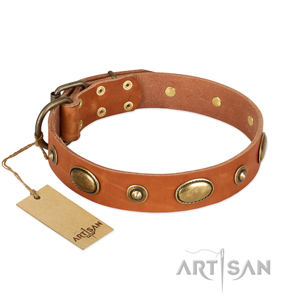 Decorated genuine leather collar for your four-legged friend