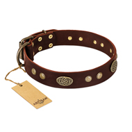 "Old-fashioned Glamor" FDT Artisan Brown Leather Pitbull Collar with Old Bronze Look Plates and Circles "Old-fashioned Glamor" FDT Artisan Brown Leather Pitbull Collar with Old Bronze Look Plates and Circles