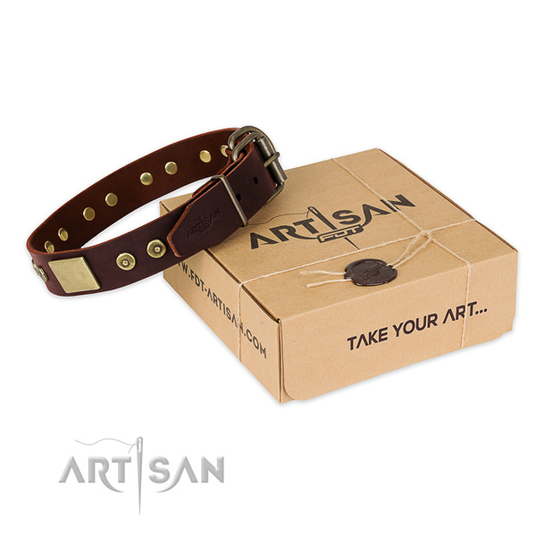 Reliable traditional buckle on dog collar for easy wearing