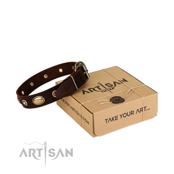 Strong embellishments on natural leather dog collar for your four-legged friend