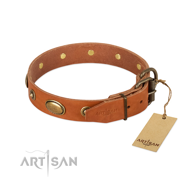 Rust-proof hardware on full grain natural leather dog collar for your pet