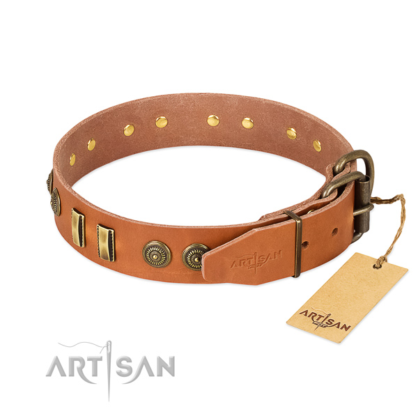 Rust-proof decorations on full grain leather dog collar for your canine