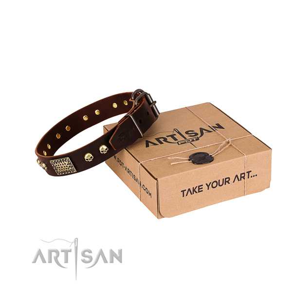 Rust-proof traditional buckle on dog collar for daily walking