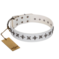 "Midnight Stars" FDT Artisan Fashionable Leather Pitbull Collar with Old Silver-like Plated Decorations "Midnight Stars" FDT Artisan Fashionable Leather Pitbull Collar with Old Silver-like Plated Decorations