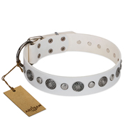 "Fluff-Stuff Beauty" FDT Artisan White Leather Pitbull Collar with Silver-like Studs and Conchos "Fluff-Stuff Beauty" FDT Artisan White Leather Pitbull Collar with Silver-like Studs and Conchos
