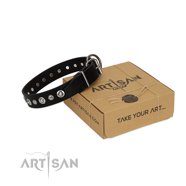 Finest quality full grain leather dog collar with incredible adornments