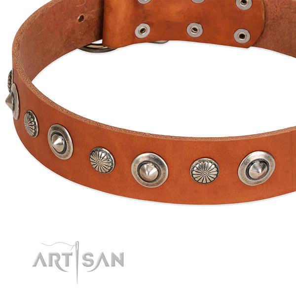 Extraordinary adorned dog collar of fine quality genuine leather