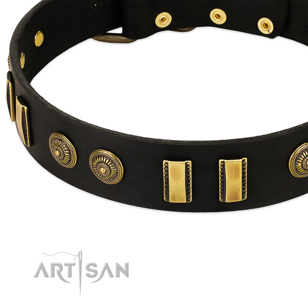 Strong decorations on leather dog collar for your canine