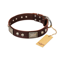 "Pirate Skull" FDT Artisan Brown Leather Pitbull Collar with Old Silver Look Plates and Skulls "Pirate Skull" FDT Artisan Brown Leather Pitbull Collar with Old Silver Look Plates and Skulls