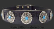 Designer Leather Dog Collar for American Pit Bull Terrier