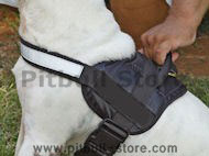 pitbull small dog harness made of nylon with handle