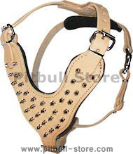 Tan Leather Spiked Dog Harness for Pitbulls- For Pitbull Mix