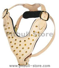 PITBULL Brass Leather Spiked Dog Harness-Handcrafted Dog Harness