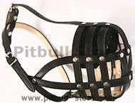 padded leather dog muzzle for pitbulls