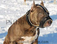 best custom leather dog muzzle for pitbull
