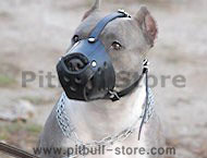 Pitbull leather dog muzzle