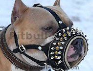 leather spiked dog muzzle for Pitbulls