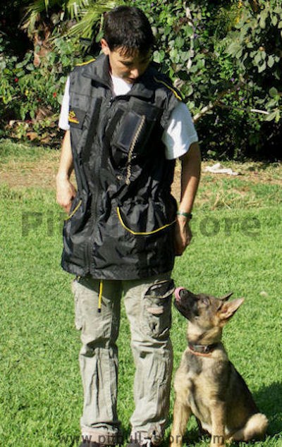  Stuff on Vest Dog Trainer Vests  Hidden Ball Training Vest V 44    Pitbull Dog