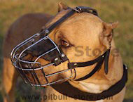 wire basket dog muzzle for pitbull
