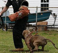 Dog Training bite sleeve for pitbull training Dog Training bite sleeve for pitbull training