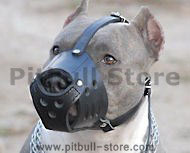 Everyday Pit bull Leather muzzle-Dog Muzzle for Pitbull Terrier
