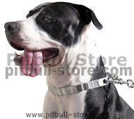 Herm Sprenger Neck Tech Prong Collar-Prong Training collar 24" Herm Sprenger Neck Tech Prong Collar-Prong Training collar 24"