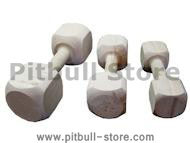 Training Dog DUMBBELL