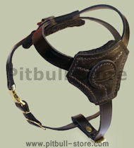 Small Leather Dog Harness for Pitbull puppy