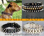 Pit Bull Spiked dog collars