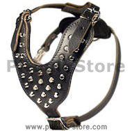Studded/Pyramids Leather Dog Harness for PitBull Terrier