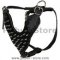 Leather Spiked Dog Harness- Deluxe custom Leather Harness