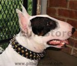 Custom Spike Studded Leather Dog Collar with spikes