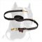 Strong Nylon Pitbull Dog Leash for Practical Owners