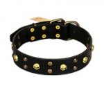 FDT Artisan 'Heavy Metal' Leather Pitbull Collar with Skulls and Studs 1 1/2 inch (40 mm)