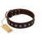 "Spring Flower" Stylish FDT Artisan Brown Leather Pitbull Collar for Comfy Walks