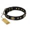 'High Fashion' FDT Artisan Studded with Plates Black Leather Pitbull Collar