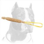 Tear-Resistant Pitbull Puppy Tug for Bite Training