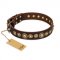 'Ancient Warrior' Pitbull Brown Leather Dog Collar